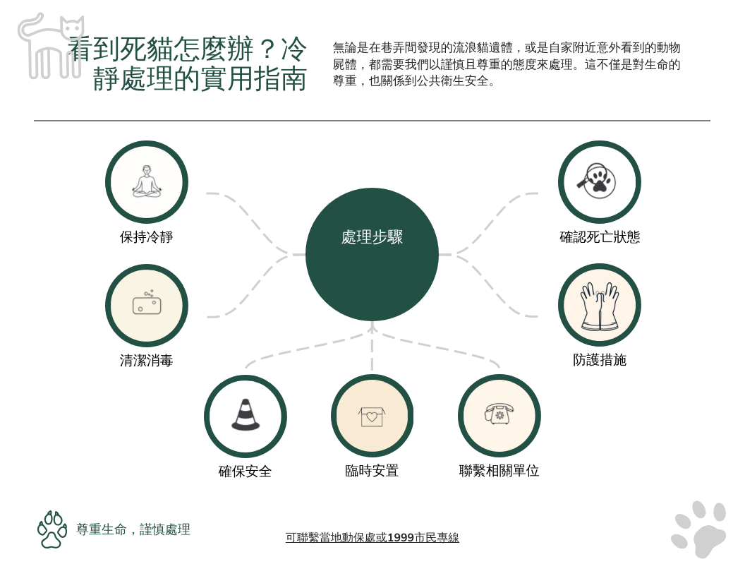 看到死貓怎麼辦？冷靜處理的實用指南